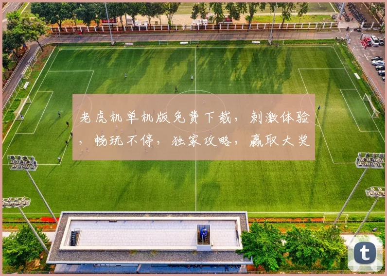 老虎机单机版免费下载，刺激体验，畅玩不停，独家攻略，赢取大奖，尽在掌握