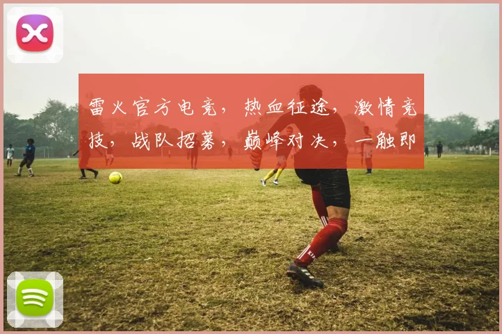 雷火官方电竞，热血征途，激情竞技，战队招募，巅峰对决，一触即发
