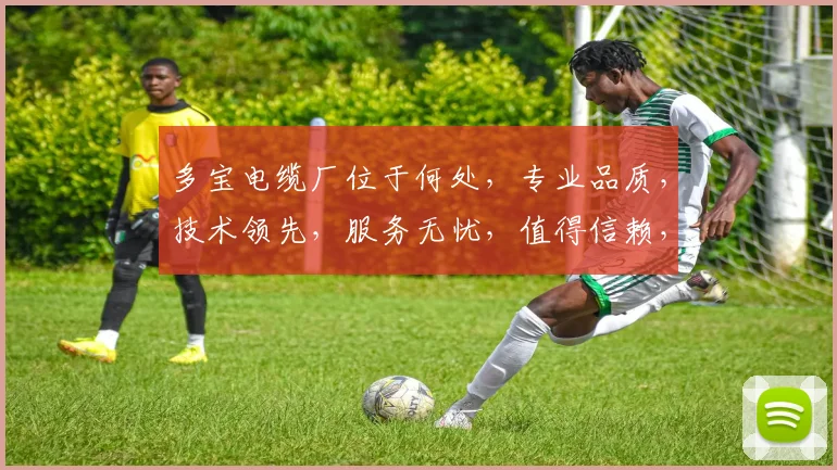 多宝电缆厂位于何处，专业品质，技术领先，服务无忧，值得信赖，三大优势显著